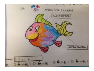 Proyecto vida en el mar nivel 4 años EI