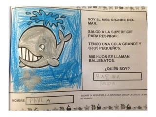 Proyecto vida en el mar nivel 4 años EI