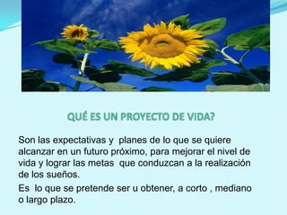 QUÉ ES UN PROYECTO DE VIDA?Son las expectativas y  planes de lo que se quiere alcanzar en un futuro próximo, para mejorar el nivel de vida y lograr las metas  que conduzcan a la realización de los sueños.Es  lo que se pretende ser u obtener, a corto , mediano o largo plazo.