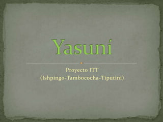 Proyecto ITT (Ishpingo-Tambococha-Tiputini) Yasuní 