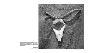 “La muerte detiene el tiempo, la tierra lo cubre y
los elementos los desentierran - o el hombre -.
En ocasiones la casualidad copia a la muerte, yo
estaba allí, yo”

                                   Proyecto yo
                            2012 Pedro Velasco.
                                                     Calavera (100X100cm)
 