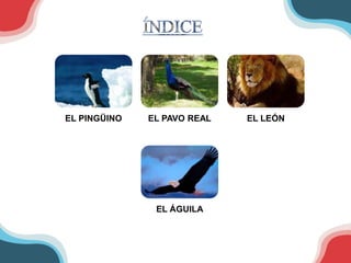 EL PINGÜINO   EL PAVO REAL   EL LEÓN




               EL ÁGUILA
 
