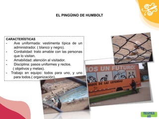 EL PINGÜINO DE HUMBOLT




CARACTERÍSTICAS
-     Ave uniformada: vestimenta típica de un
      administrador. ( blanco y negro).
-     Cordialidad: trato amable con las personas
      que lo visitan.
-     Amabilidad: atención al visitador.
-     Disciplina: pasos uniformes y rectos.
     ( objetivos y metas).
-   Trabajo en equipo: todos para uno, y uno
      para todos.( organización).




                                                        REGRES
                                                          AR
 