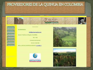 Ventajas fiscalesPor último, es preciso resaltar una serie de ventajas fiscales, como la posibilidad de abrir una cuenta ahorro-empresa cuyos fondos deben destinarse a la constitución de una empresa con la forma jurídica de Sociedad Limitada Nueva Empresa, y cuyo régimen fiscal es similar al de la cuenta ahorro vivienda (devolución en el IRPF del 15% del importe depositado, con el límite de 9.000 euros anuales durante un plazo máximo de cuatro años).Otra ventaja fiscal consiste en el aplazamiento, sin aportación de garantías, tanto del Impuesto de Transmisiones Patrimoniales y Actos Jurídicos Documentados (por la modalidad de operaciones societarias derivadas de la constitución de la sociedad), durante el plazo de un año desde que se constituyó, como de las deudas tributarias del Impuesto sobre Sociedades correspondiente a los dos primeros períodos impositivos. También se establece la no obligación de efectuar pagos fraccionados del Impuesto sobre Sociedades en las liquidaciones correspondientes a los dos períodos impositivos desde su constitución.