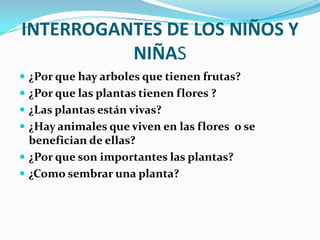 INTERROGANTES DE LOS NIÑOS Y
          NIÑAS
 ¿Por que hay arboles que tienen frutas?
 ¿Por que las plantas tienen flores ?
 ¿Las plantas están vivas?
 ¿Hay animales que viven en las flores o se
  benefician de ellas?
 ¿Por que son importantes las plantas?
 ¿Como sembrar una planta?
 