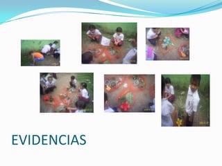 EVIDENCIAS
 