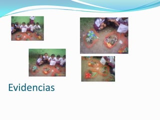 Evidencias
 