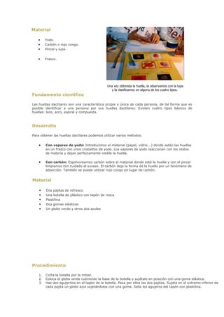 Material

   •     Yodo.
   •     Carbón o rojo congo.
   •     Pincel y lupa.


   •     Frasco.




                                                Una vez obtenida la huella, la observamos con la lupa
                                                  y la clasificamos en alguno de los cuatro tipos.
Fundamento científico

Las huellas dactilares son una característica propia y única de cada persona, de tal forma que es
posible identificar a una persona por sus huellas dactilares. Existen cuatro tipos básicos de
huellas: lazo, arco, espiral y compuesta.



Desarrollo

Para obtener las huellas dactilares podemos utilizar varios métodos:


    •    Con vapores de yodo: Introducimos el material (papel, vidrio...) donde estén las huellas
         en un frasco con unos cristalitos de yodo. Los vapores de yodo reaccionan con los restos
         de materia y dejan perfectamente visible la huella.

    •    Con carbón: Espolvoreamos carbón sobre el material donde esté la huella y con el pincel
         limpiamos con cuidado el exceso. El carbón deja la forma de la huella por un fenómeno de
         adsorción. También se puede utilizar rojo congo en lugar de carbón.


Material

    •    Dos pajitas de refresco
    •    Una botella de plástico con tapón de rosca
    •    Plastilina
    •    Dos gomas elásticas
    •    Un globo verde y otros dos azules




Procedimiento

    1.   Corta la botella por la mitad.
    2.   Coloca el globo verde cubriendo la base de la botella y sujétalo en posición con una goma elástica.
    3.   Haz dos agujeritos en el tapón de la botella. Pasa por ellos las dos pajitas. Sujeta en el extremo inferior de
         cada pajita un globo azul sujetándolos con una goma. Sella los agujeros del tapón con plastilina.
 