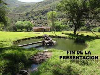 FIN DE LA PRESENTACION