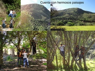 Cuenta con hermosos paisajes,[object Object]