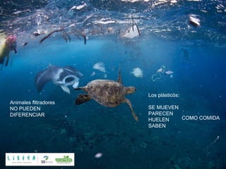Animales filtradores
NO PUEDEN
DIFERENCIAR
Los plásticos:
SE MUEVEN
PARECEN
HUELEN
SABEN
COMO COMIDA
 