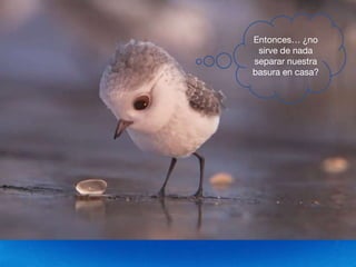 Entonces… ¿no
sirve de nada
separar nuestra
basura en casa?
 