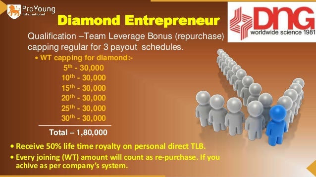 pro young business plan diamond business plan
