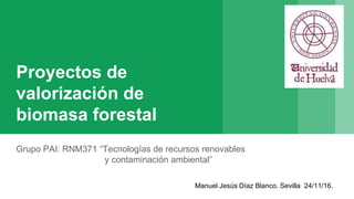 Proyectos de
valorización de
biomasa forestal
Grupo PAI: RNM371 “Tecnologías de recursos renovables
y contaminación ambiental”
Manuel Jesús Díaz Blanco. Sevilla 24/11/16.
 