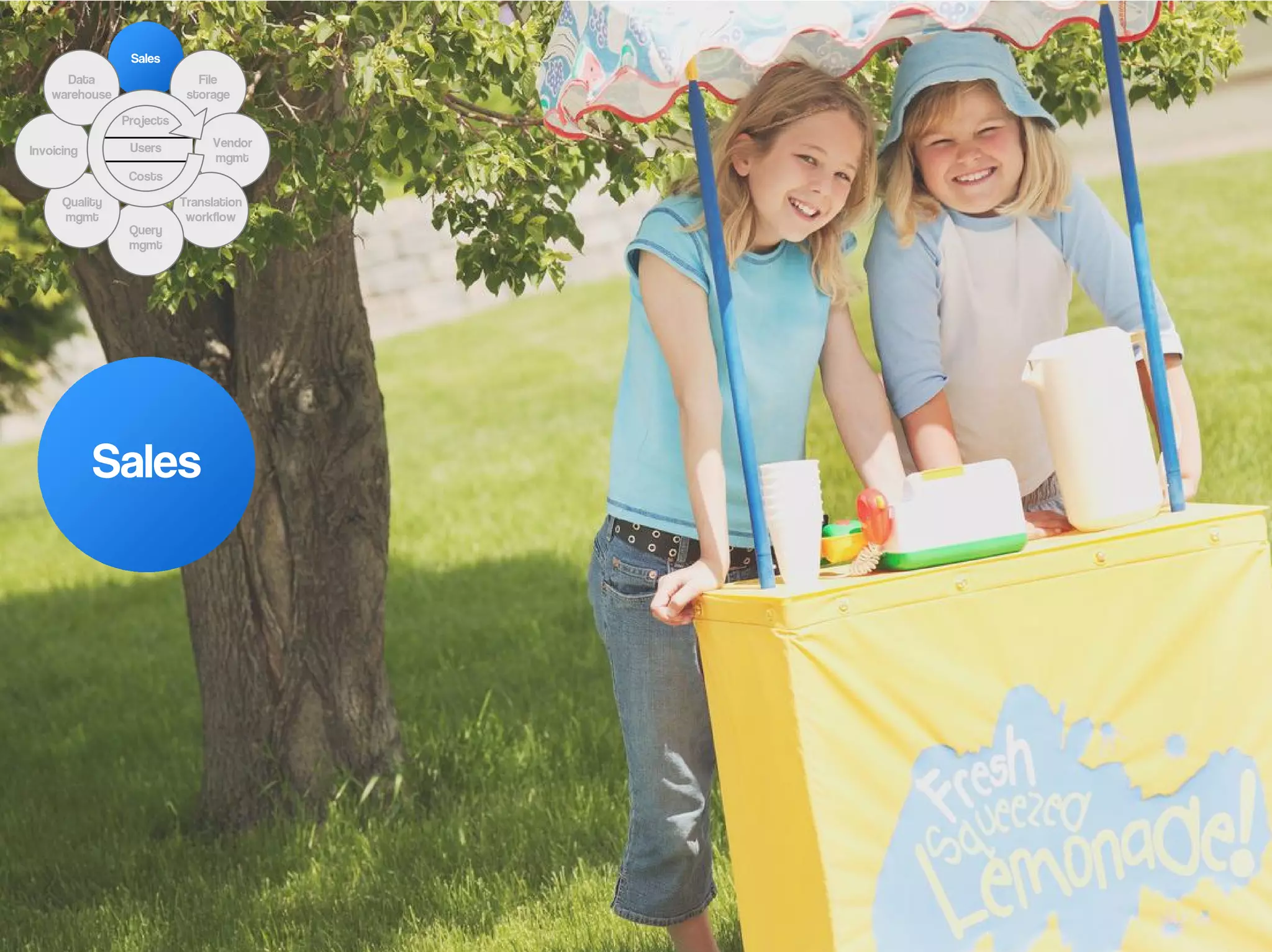 Sales
      Data                    File
    warehouse               storage

                Projects

                 Users          Vendor
Invoicing
                                mgmt
                 Costs

      Quality              Translation
      mgmt                  workflow
                 Query
                 mgmt




            Sales
 