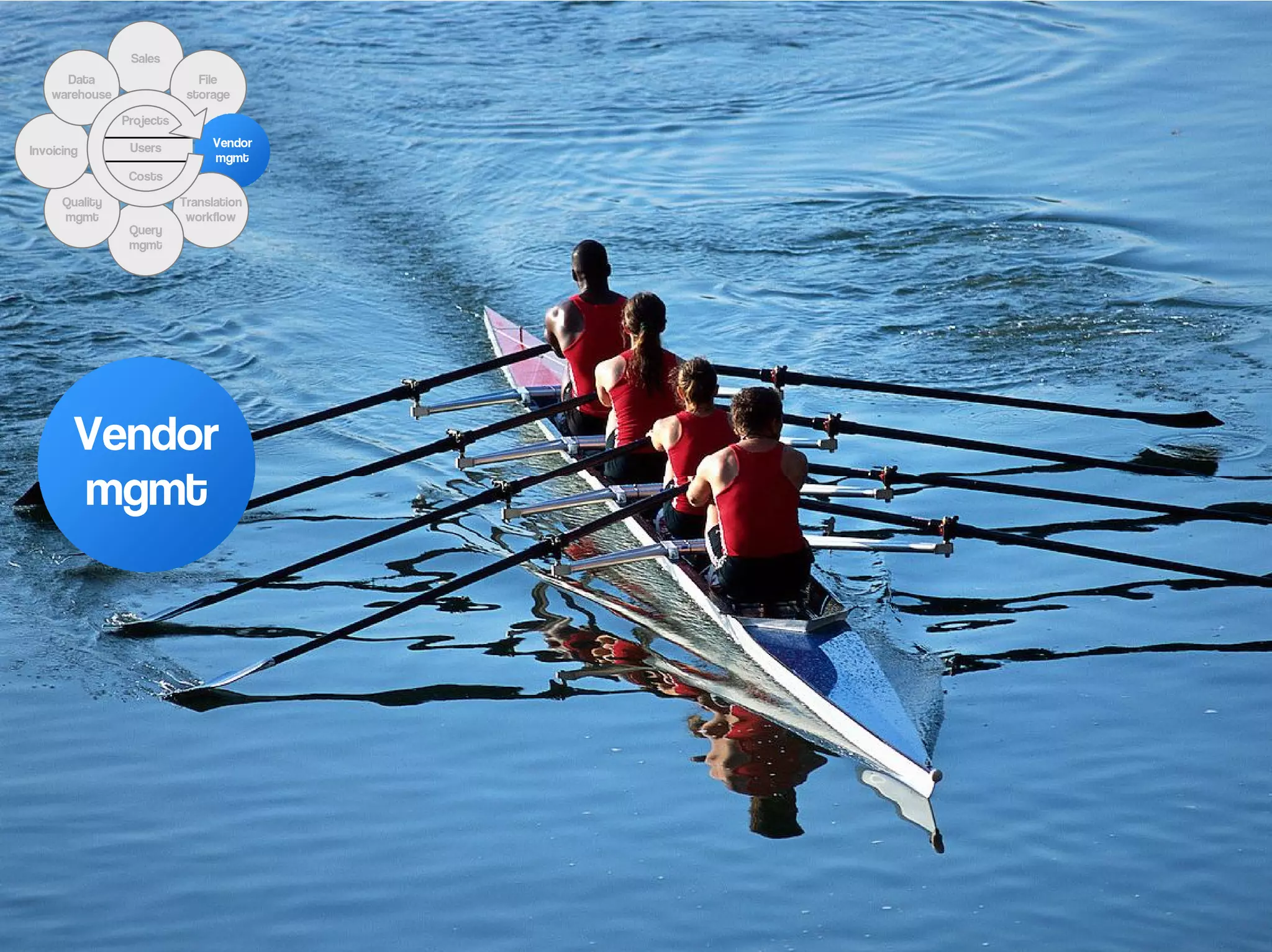 Sales
      Data                    File
    warehouse               storage

                Projects

                 Users          Vendor
Invoicing
                                mgmt
                 Costs

      Quality              Translation
      mgmt                  workflow
                 Query
                 mgmt




        Vendor
        mgmt
 