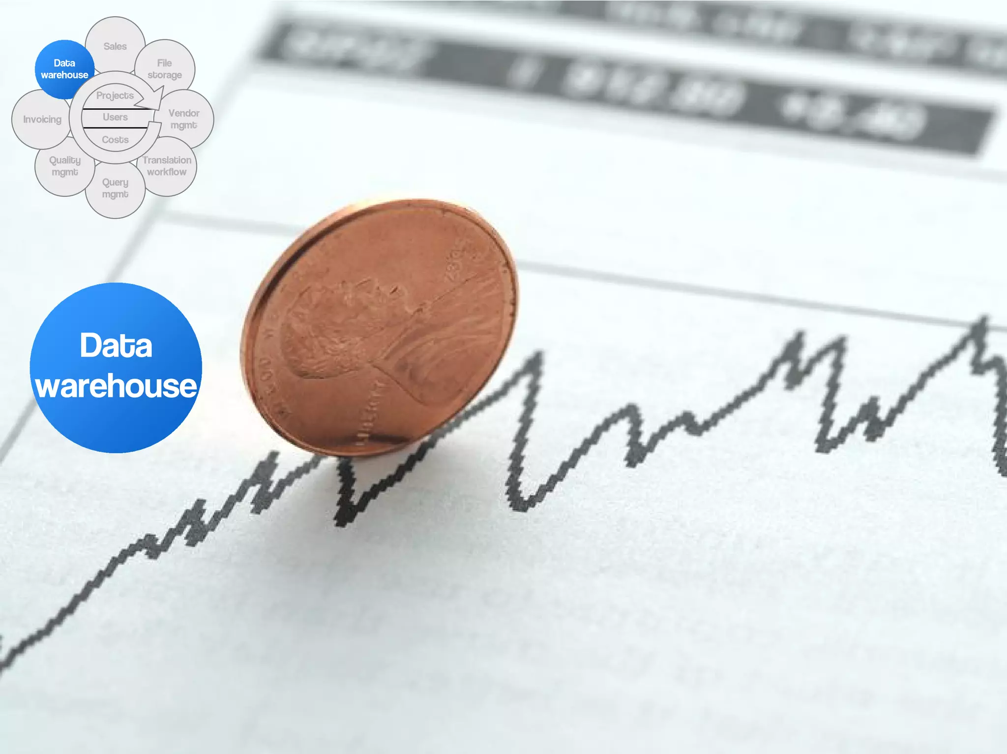 Sales
      Data                    File
    warehouse               storage

                Projects

                 Users          Vendor
Invoicing
                                mgmt
                 Costs

      Quality              Translation
      mgmt                  workflow
                 Query
                 mgmt




    Data
  warehouse
 