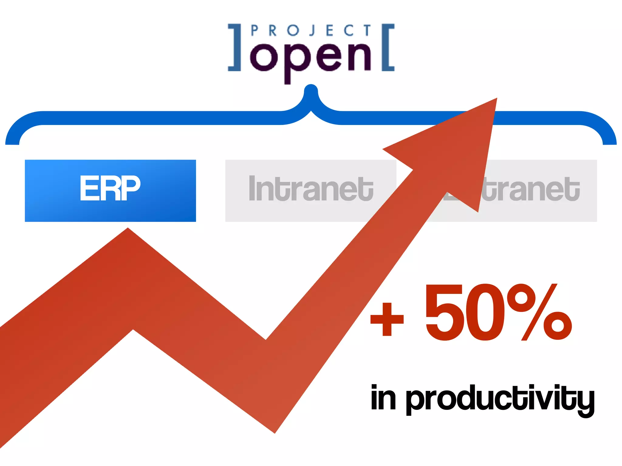 ERP   Intranet   Extranet



             + 50%
             in productivity
 