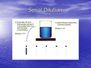 Serial Dilution
 