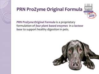 Prozyme Orginal for Dogs & Cats (85 grams), On Sale