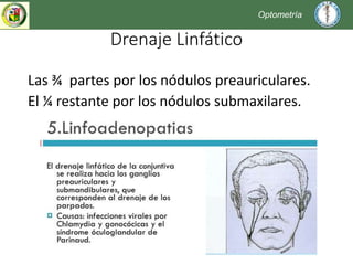 Parpados PPT Descarga Gratuita
