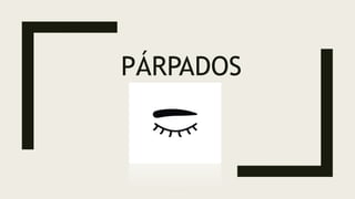 PÁRPADOS
 
