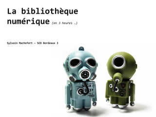 La bibliothèque
numérique                    (en 3 heures …)




Sylvain Machefert – SCD Bordeaux 3
 
