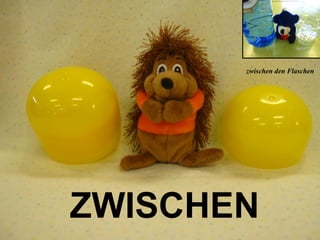 ZWISCHEN
zwischen den Flaschen
 