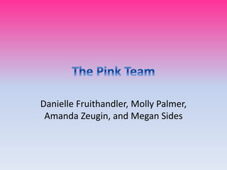 Danielle Fruithandler, Molly Palmer,
Amanda Zeugin, and Megan Sides
 