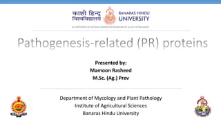 Department of Mycology and Plant Pathology
Institute of Agricultural Sciences
Banaras Hindu University
Presented by:
Mamoon Rasheed
M.Sc. (Ag.) Prev
 