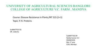UNIVERSITY OF AGRICULTURAL SCIENCES BANGLORE
COLLEGE OF AGRICULTURE V.C. FARM , MANDYA
Course: Disease Resistance in Plants,PAT 515 (1+1)
Topic: P. R. Proteins
SUBMITTED TO
DR. Jadesha
SUBMITTED BY
Reddy Kumar A V
PAMM1026
Msc 1st year
COA, Mandya
 