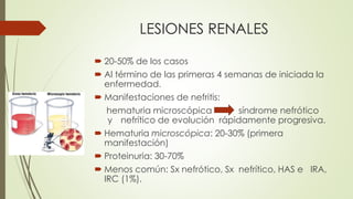 LESIONES RENALES
 20-50% de los casos
 Al término de las primeras 4 semanas de iniciada la
enfermedad.
 Manifestaciones de nefritis:
hematuria microscópica síndrome nefrótico
y nefrítico de evolución rápidamente progresiva.
 Hematuria microscópica: 20-30% (primera
manifestación)
 Proteinuria: 30-70%
 Menos común: Sx nefrótico, Sx nefrítico, HAS e IRA,
IRC (1%).
 