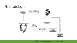 Fisiopatología
Clinical Pediatric Nephrology, p 235-242. 2008.
 