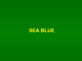 SEA BLUE 