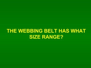 THE WEBBING BELT HAS WHAT SIZE RANGE? 