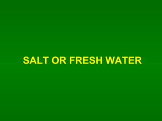 SALT OR FRESH WATER 