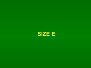 SIZE E 
