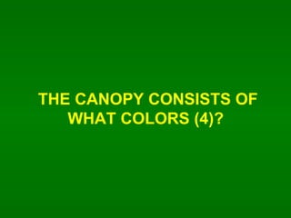 THE CANOPY CONSISTS OF WHAT COLORS (4)?  