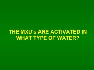 THE MXUs ARE ACTIVATED IN WHAT TYPE OF WATER? 