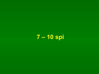 7 C 10 spi 