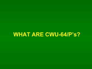 WHAT ARE CWU-64/Ps? 