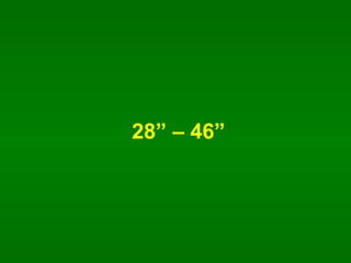 28 C 46 