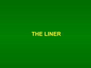 THE LINER 
