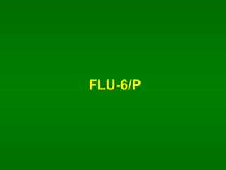 FLU-6/P 