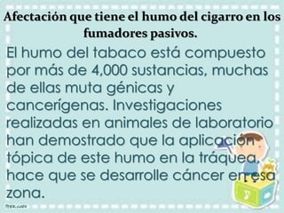 Afectación que tiene el humo del cigarro en los 
fumadores pasivos. 
El humo del tabaco está compuesto 
por más de 4,000 sustancias, muchas 
de ellas muta génicas y 
cancerígenas. Investigaciones 
realizadas en animales de laboratorio 
han demostrado que la aplicación 
tópica de este humo en la tráquea, 
hace que se desarrolle cáncer en esa 
zona. 
 