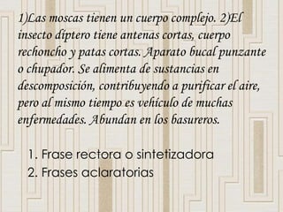 1)Las moscas tienen un cuerpo complejo. 2)El 
insecto díptero tiene antenas cortas, cuerpo 
rechoncho y patas cortas. Aparato bucal punzante 
o chupador. Se alimenta de sustancias en 
descomposición, contribuyendo a purificar el aire, 
pero al mismo tiempo es vehículo de muchas 
enfermedades. Abundan en los basureros. 
1. Frase rectora o sintetizadora 
2. Frases aclaratorias 
 