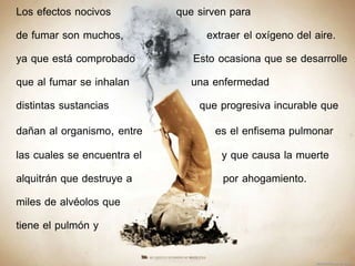 Los efectos nocivos que sirven para 
de fumar son muchos, extraer el oxígeno del aire. 
ya que está comprobado Esto ocasiona que se desarrolle 
que al fumar se inhalan una enfermedad 
distintas sustancias que progresiva incurable que 
dañan al organismo, entre es el enfisema pulmonar 
las cuales se encuentra el y que causa la muerte 
alquitrán que destruye a por ahogamiento. 
miles de alvéolos que 
tiene el pulmón y 
 