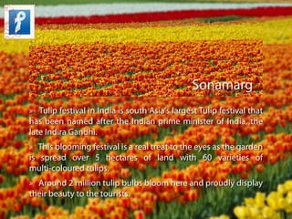 Sonamarg
» Tulip festival in India is south Asia's largest Tulip festival that
has been named after the Indian prime minis...