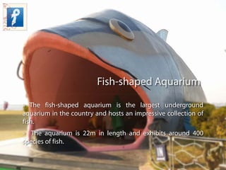 Fish-shaped Aquarium
» The fish-shaped aquarium is the largest underground
aquarium in the country and hosts an impressive...