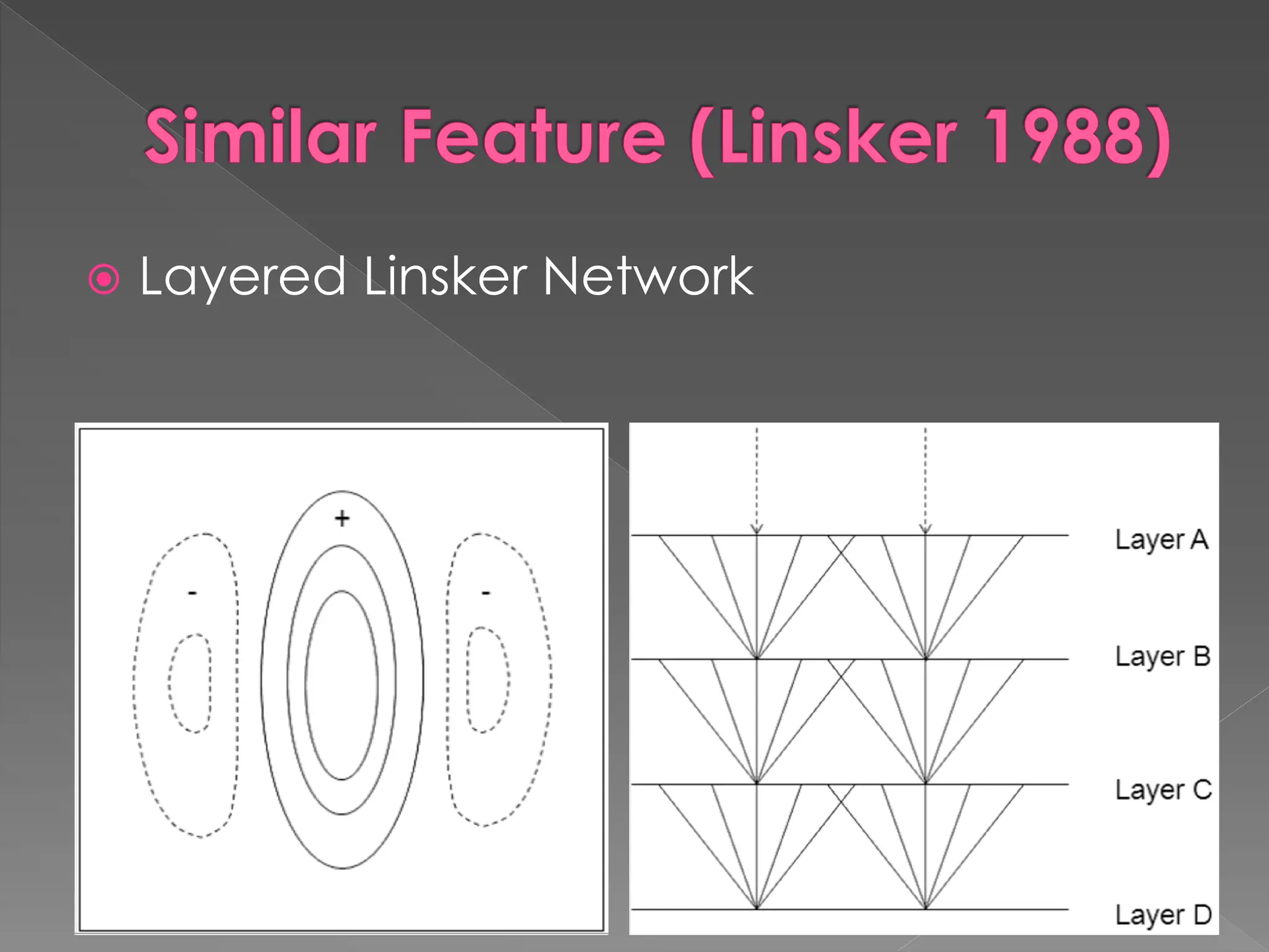 Similar Feature (Linsker 1988)
 Layered Linsker Network
 
